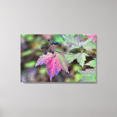 Mapleleaf Viburnum Autumn Leaves en Berries Canvas Afdruk (Voorkant)