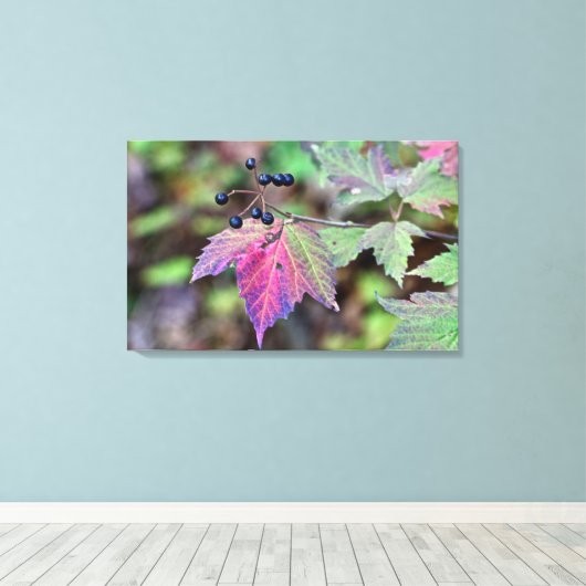 Mapleleaf Viburnum Autumn Leaves en Berries Canvas Afdruk (Insitu (Houten vloer))