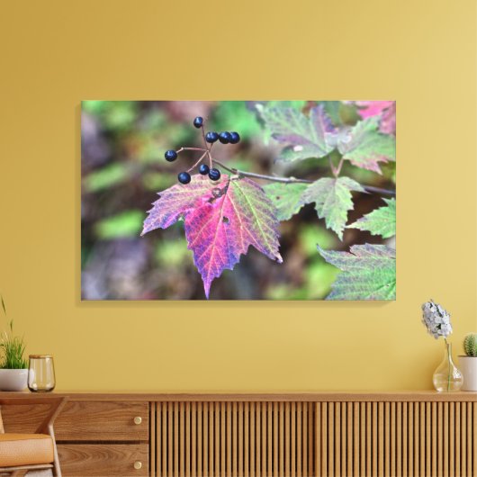 Mapleleaf Viburnum Autumn Leaves en Berries Canvas Afdruk (Insitu (Woonkamer))