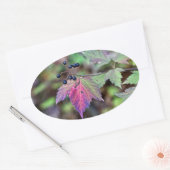 Mapleleaf Viburnum Autumn Leaves en Berries Ovale Sticker (Envelop)