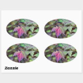Mapleleaf Viburnum Autumn Leaves en Berries Ovale Sticker (Vel)