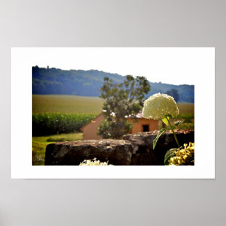 Maplewood Farm [Kunstprint] Poster