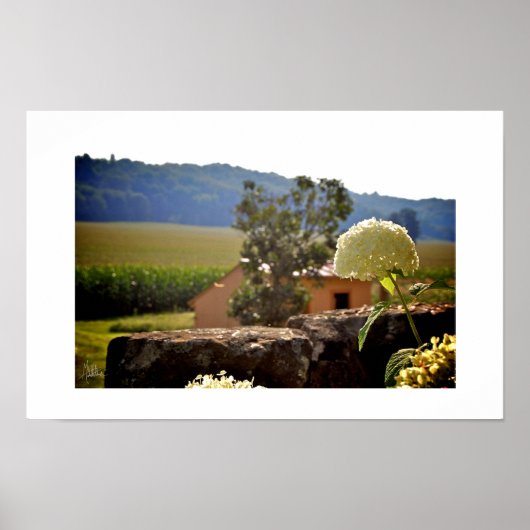 Maplewood Farm [Kunstprint] Poster (Voorkant)