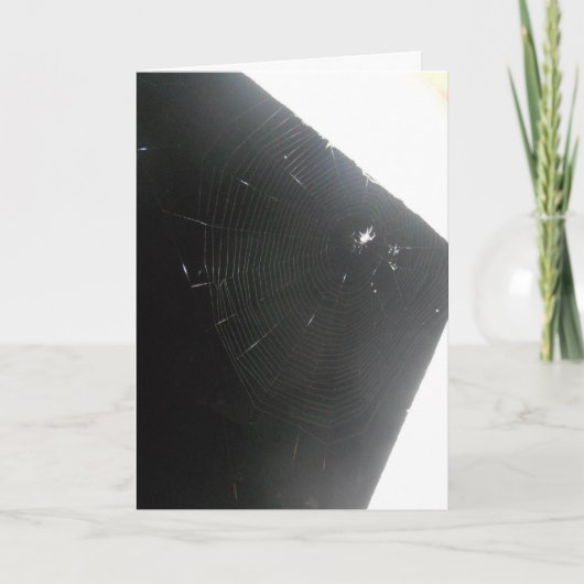 "Maplewood Spider" Beterschapkaart Kaart (Voorkant)