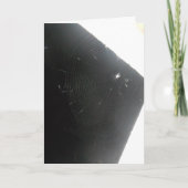 "Maplewood Spider"-Kaart van Houtwe Kaart (Voorkant)