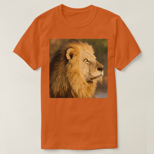 Mapogo lion in his prime t-shirt (Design voorkant)