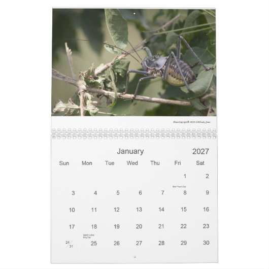 Mapungubwe NP RSA Wildlife 2011/12 Kalender (Jan 2027)