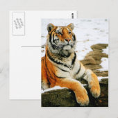 - Mara - Briefkaart (Voorkant / Achterkant)