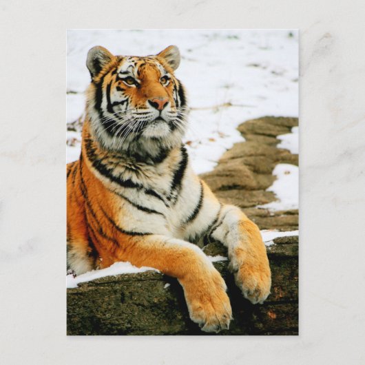 - Mara - Briefkaart (Voorkant)