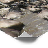 mara wilde beest poster (Hoek)