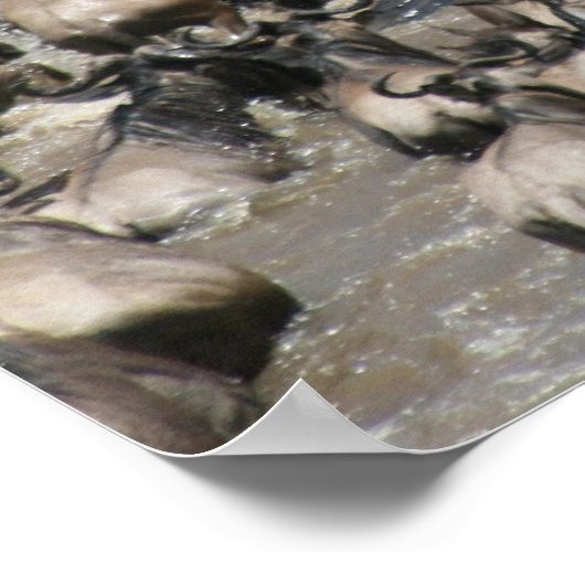 mara wilde beest poster (Hoek)