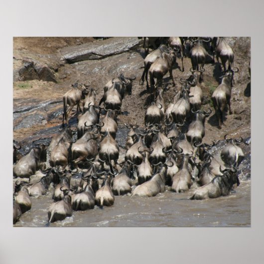 mara wilde beest poster (Voorkant)