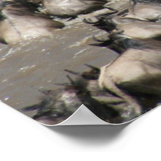 mara wildebeest poster (Hoek)