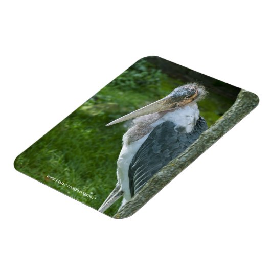 Maraboe Magneet (Linkerzijde)