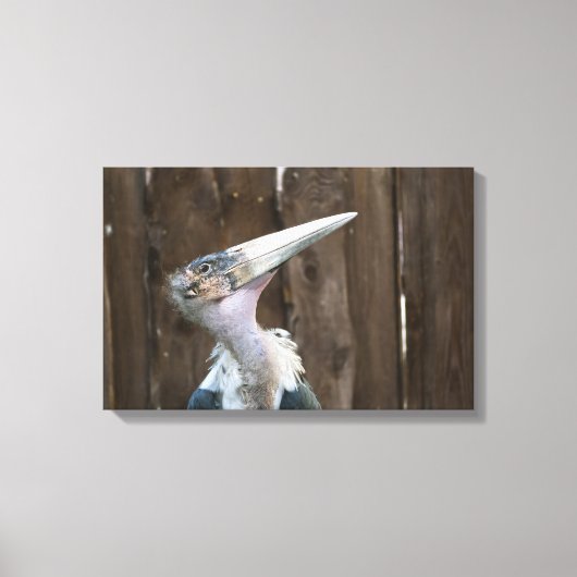 Maraboe-ooievaar Canvas Afdruk (Voorkant)
