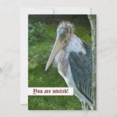 Marabou Aangepaste Uitnodiging (Voorkant)