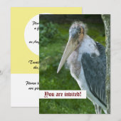 Marabou Aangepaste Uitnodiging (Voorkant / Achterkant)