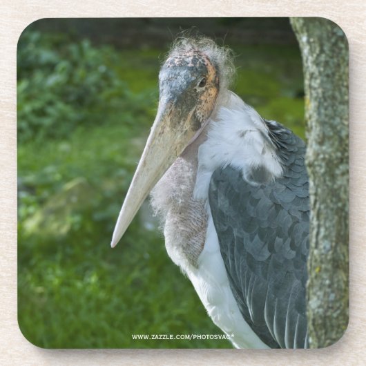 Marabou Bier Onderzetter (Voorkant)