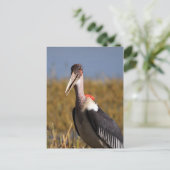 Marabou Briefkaart (Staand voorkant)