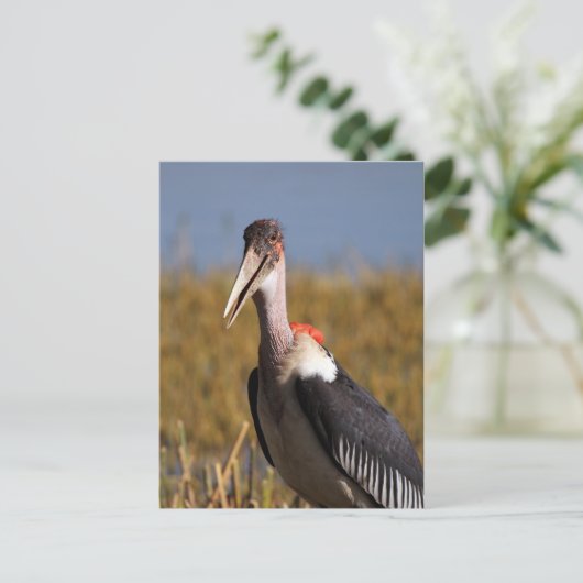 Marabou Briefkaart (Staand voorkant)