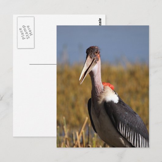 Marabou Briefkaart (Voorkant / Achterkant)