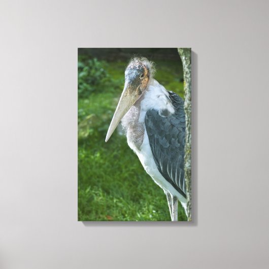 Marabou Canvas Afdruk (Voorkant)