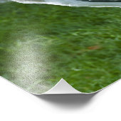 Marabou Foto Afdruk (Hoek)