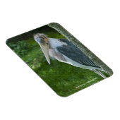 Marabou Magneet (Rechterzijde)