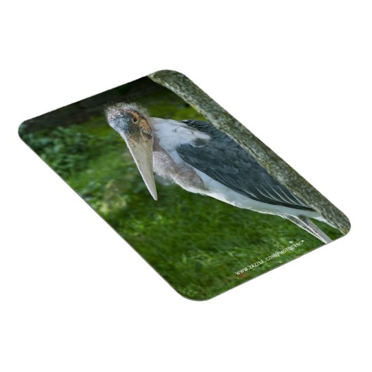 Marabou Magneet (Rechterzijde)