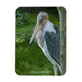 Marabou Magneet (Verticaal)