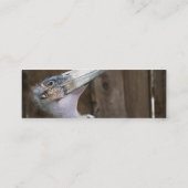 Marabou Mini Visitekaartje (Achterkant)