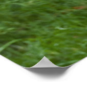 Marabou Poster (Hoek)