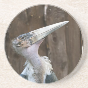Marabou Stork Zandsteen Onderzetter