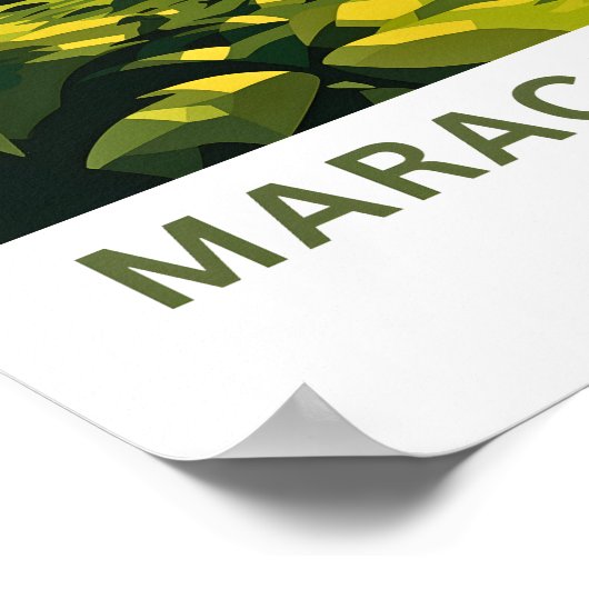 Maracas Beach Trinidad Reisprint Poster (Hoek)