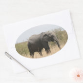 maragelefant ovale sticker (Envelop)