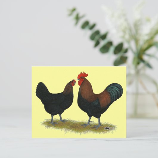 Marans Black Copper Briefkaart (Staand voorkant)