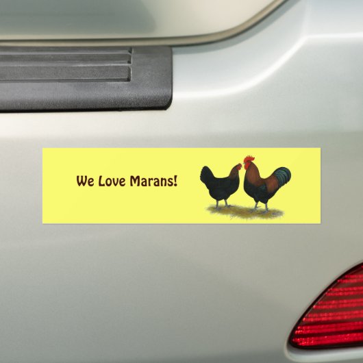 Marans Black Copper Bumpersticker (Op auto)
