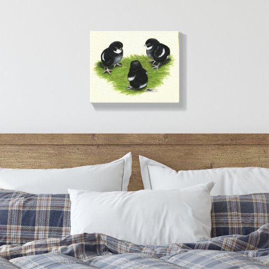 Marans Black Copper Chicken Canvas Afdruk (Insitu (Slaapkamer))