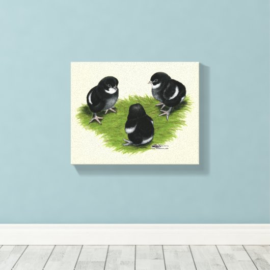 Marans Black Copper Chicken Canvas Afdruk (Insitu (Houten vloer))