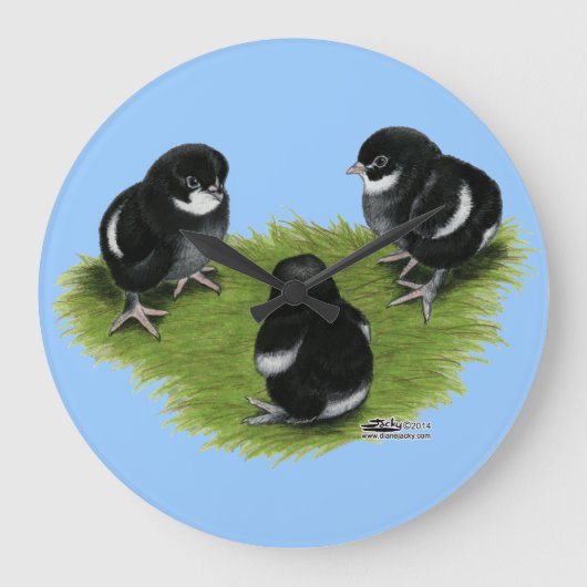 Marans Black Copper Chicken Grote Klok (Voorkant)