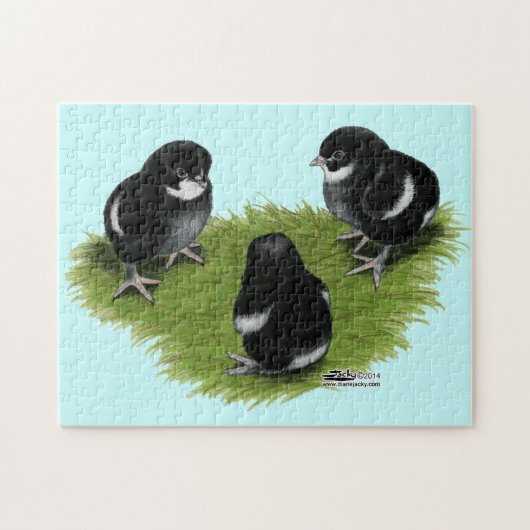 Marans Black Copper Chicken Legpuzzel (Horizontaal)