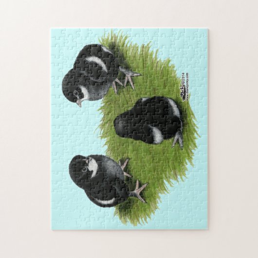 Marans Black Copper Chicken Legpuzzel (Verticaal)