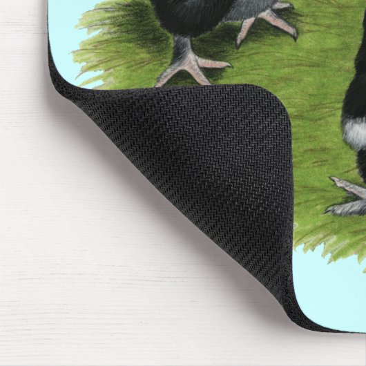 Marans Black Copper Chicken Muismat (Hoek)