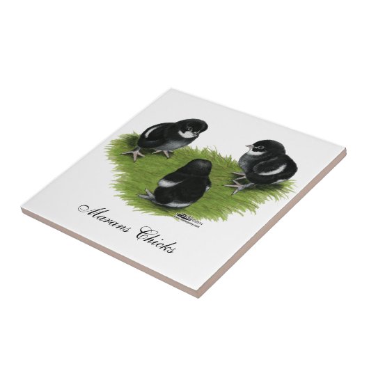 Marans Black Copper Chicken Tegeltje (Zijkant)