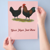 Marans Black Copper Flyer (Hand)