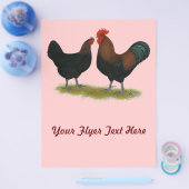 Marans Black Copper Flyer (Enkel)