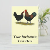 Marans Black Copper Kaart (Staand voorkant)