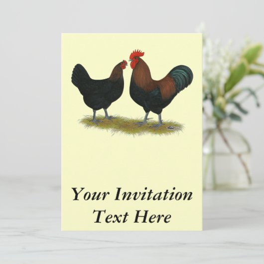 Marans Black Copper Kaart (Staand voorkant)