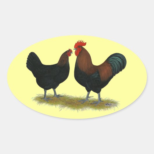 Marans Black Copper Ovale Sticker (Voorkant)