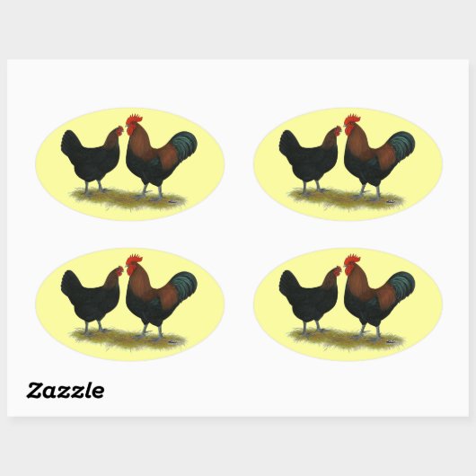 Marans Black Copper Ovale Sticker (Vel)